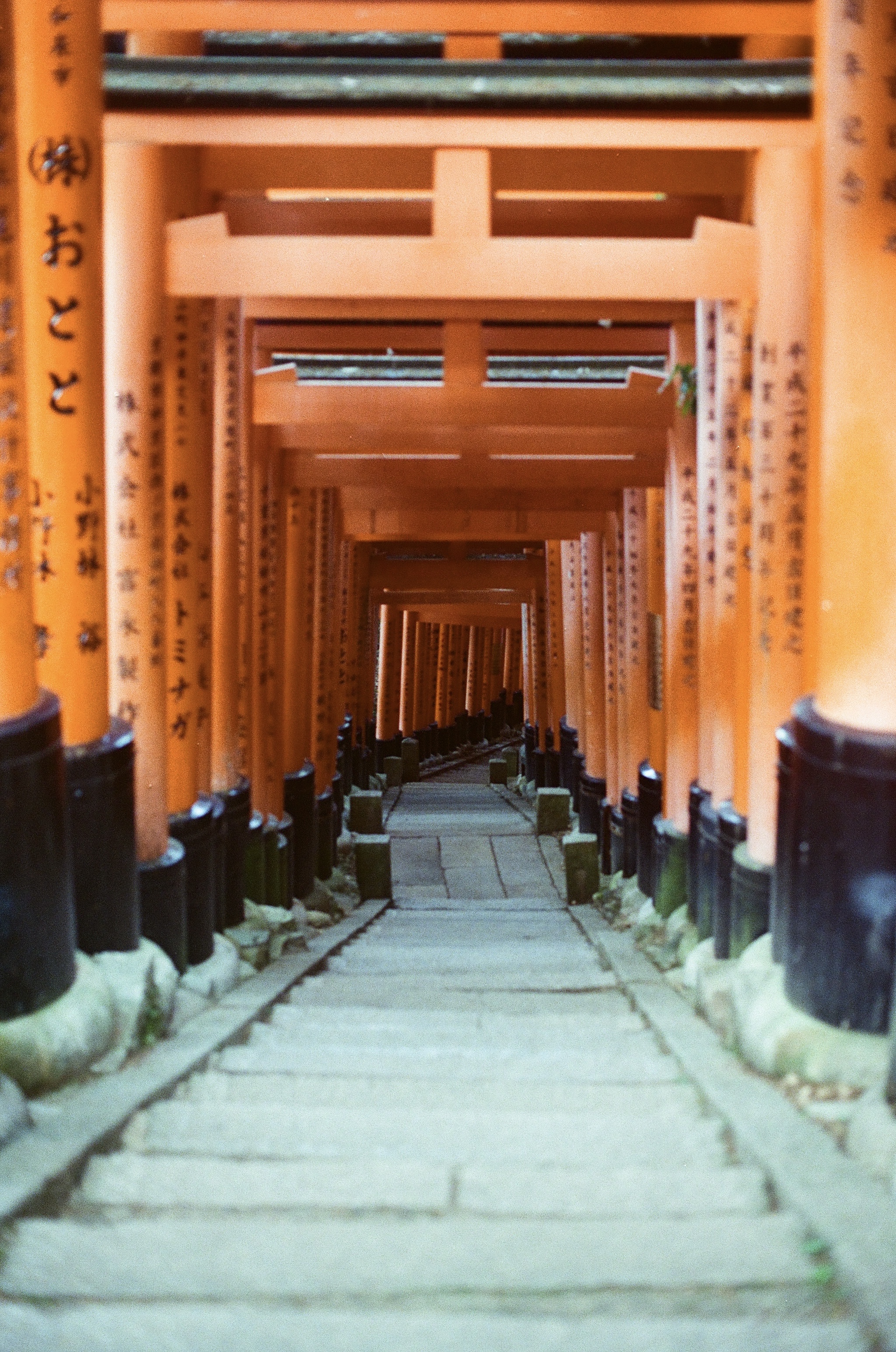 Fushimi Inari-Taisha.